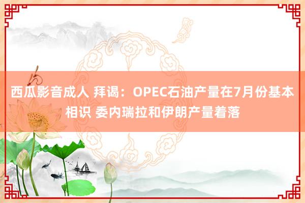 西瓜影音成人 拜谒：OPEC石油产量在7月份基本相识 委内瑞拉和伊朗产量着落