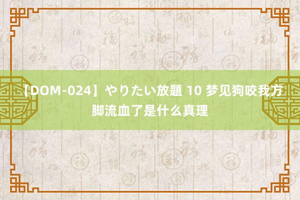 【DOM-024】やりたい放題 10 梦见狗咬我方脚流血了是什么真理