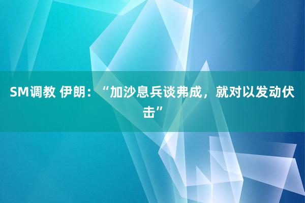 SM调教 伊朗：“加沙息兵谈弗成，就对以发动伏击”