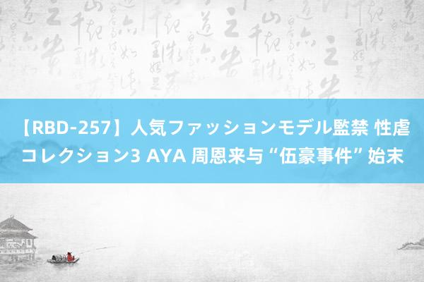 【RBD-257】人気ファッションモデル監禁 性虐コレクション3 AYA 周恩来与“伍豪事件”始末