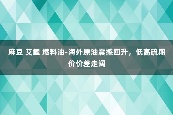 麻豆 艾鲤 燃料油-海外原油震撼回升，低高硫期价价差走阔