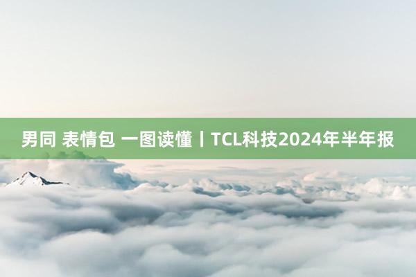 男同 表情包 一图读懂丨TCL科技2024年半年报