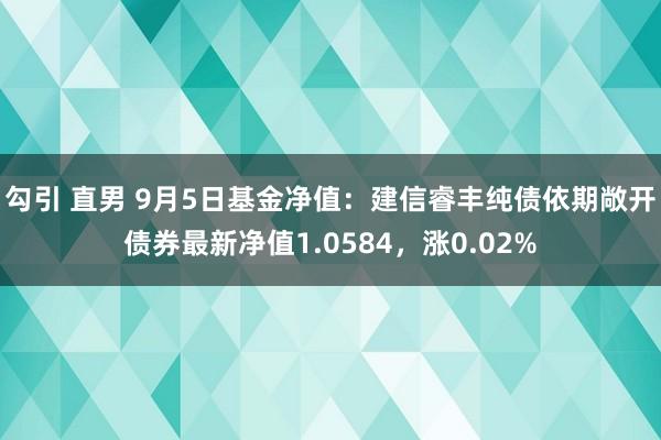 勾引 直男 9月5日基金净值：建信睿丰纯债依期敞开债券最新净值1.0584，涨0.02%