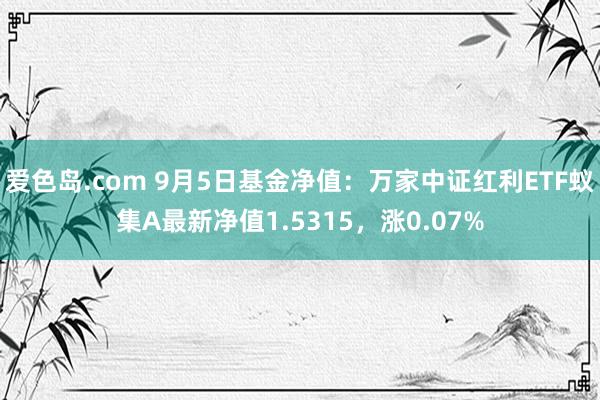 爱色岛.com 9月5日基金净值：万家中证红利ETF蚁集A最新净值1.5315，涨0.07%