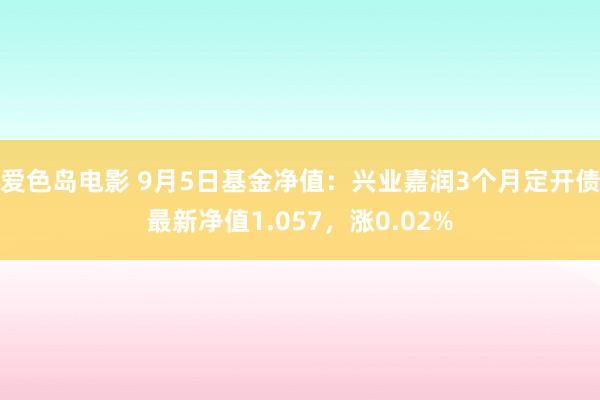 爱色岛电影 9月5日基金净值：兴业嘉润3个月定开债最新净值1.057，涨0.02%