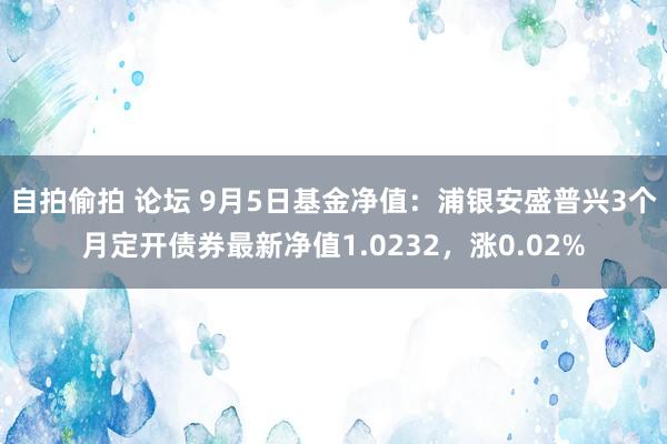 自拍偷拍 论坛 9月5日基金净值：浦银安盛普兴3个月定开债券最新净值1.0232，涨0.02%