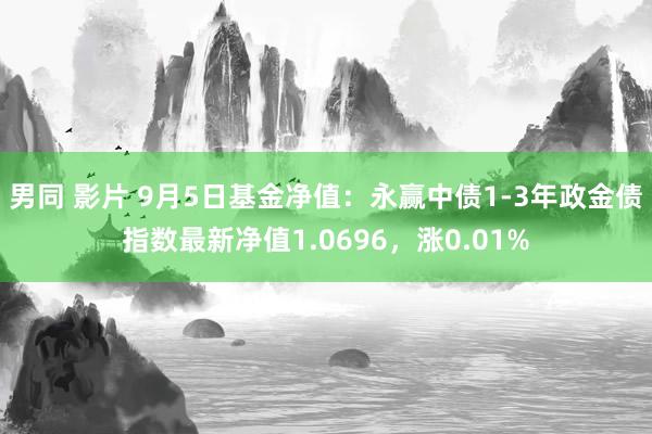 男同 影片 9月5日基金净值：永赢中债1-3年政金债指数最新净值1.0696，涨0.01%