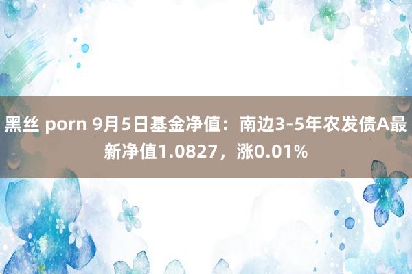 黑丝 porn 9月5日基金净值：南边3-5年农发债A最新净值1.0827，涨0.01%