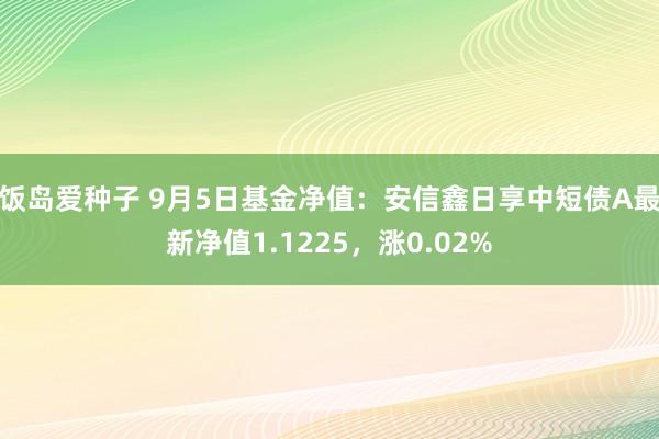 饭岛爱种子 9月5日基金净值：安信鑫日享中短债A最新净值1.1225，涨0.02%