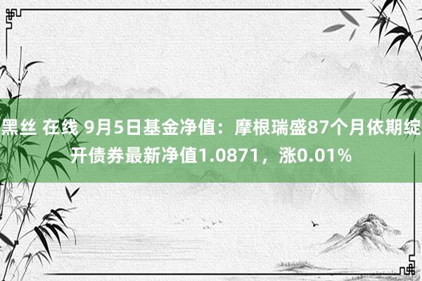 黑丝 在线 9月5日基金净值：摩根瑞盛87个月依期绽开债券最新净值1.0871，涨0.01%