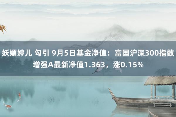 妖媚婷儿 勾引 9月5日基金净值：富国沪深300指数增强A最新净值1.363，涨0.15%