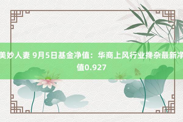 美妙人妻 9月5日基金净值：华商上风行业搀杂最新净值0.927