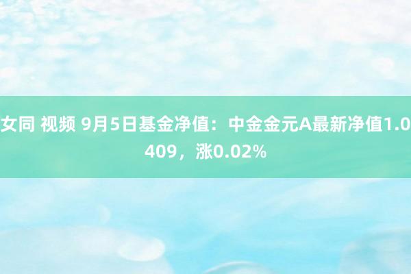 女同 视频 9月5日基金净值：中金金元A最新净值1.0409，涨0.02%