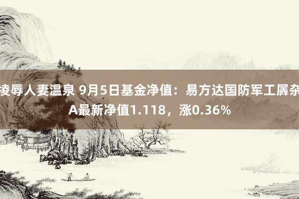 凌辱人妻温泉 9月5日基金净值：易方达国防军工羼杂A最新净值1.118，涨0.36%