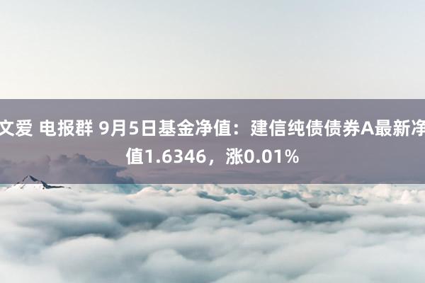 文爱 电报群 9月5日基金净值：建信纯债债券A最新净值1.6346，涨0.01%