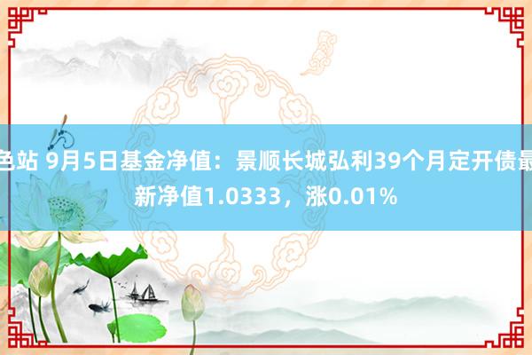 色站 9月5日基金净值：景顺长城弘利39个月定开债最新净值1.0333，涨0.01%