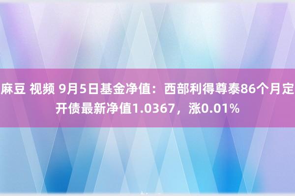 麻豆 视频 9月5日基金净值：西部利得尊泰86个月定开债最新净值1.0367，涨0.01%