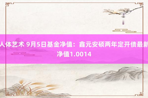 人体艺术 9月5日基金净值：鑫元安硕两年定开债最新净值1.0014