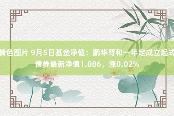 情色图片 9月5日基金净值：鹏华尊和一年定成立起式债券最新净值1.086，涨0.02%