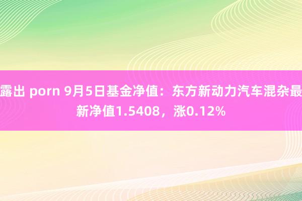 露出 porn 9月5日基金净值：东方新动力汽车混杂最新净值1.5408，涨0.12%