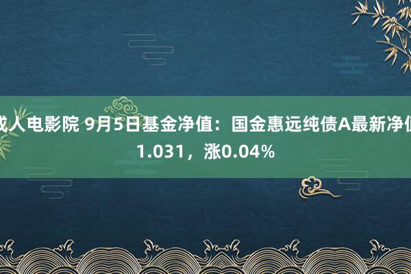 成人电影院 9月5日基金净值：国金惠远纯债A最新净值1.031，涨0.04%