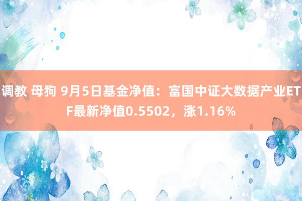 调教 母狗 9月5日基金净值：富国中证大数据产业ETF最新净值0.5502，涨1.16%