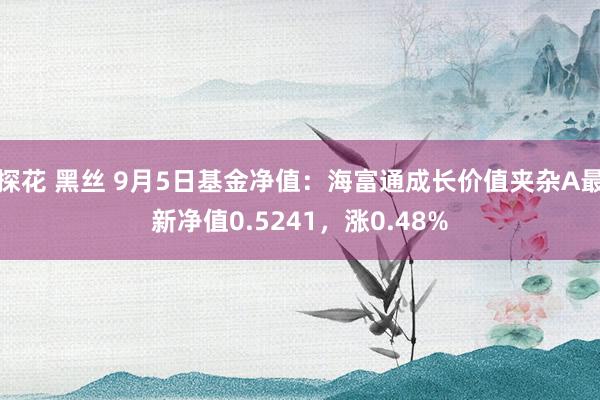 探花 黑丝 9月5日基金净值：海富通成长价值夹杂A最新净值0.5241，涨0.48%