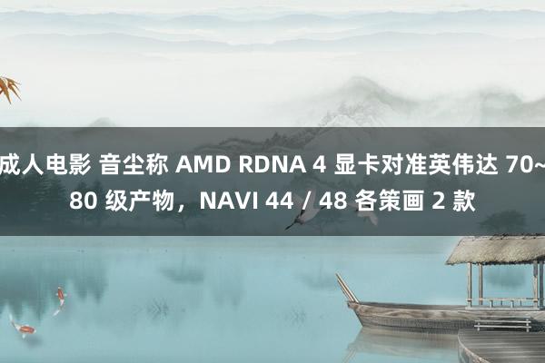 成人电影 音尘称 AMD RDNA 4 显卡对准英伟达 70~80 级产物，NAVI 44 / 48 各策画 2 款