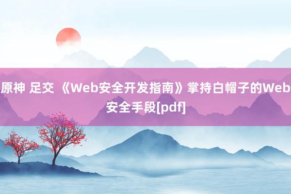 原神 足交 《Web安全开发指南》掌持白帽子的Web安全手段[pdf]