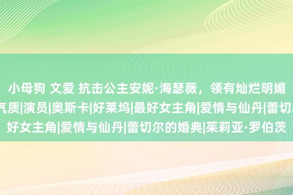 小母狗 文爱 抗击公主安妮·海瑟薇，领有灿烂明媚的笑貌和高尚法例的气质|演员|奥斯卡|好莱坞|最好女主角|爱情与仙丹|蕾切尔的婚典|茱莉亚·罗伯茨